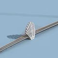 Modern White Arched Cable Stayed Bridge Spanning Calm Blue Water 3d model