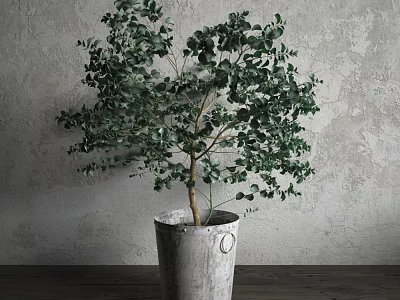 Bonsai Plant With Green Leaves In Gray Concrete Pot Against Gray Wall On Wooden Tabletop 3d model