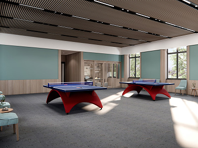 modern table tennis hall model