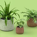 Three Bonsai Potted Plants with Concrete Terracotta Pots and Green Foliage on Light Green Background