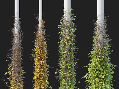Colorful Vines Climbing White Pillars with Brown Yellow Green and Dark Green Shades 3d model