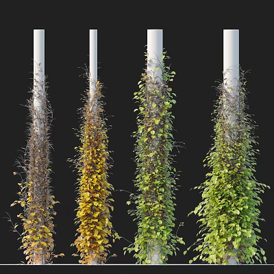 Colorful Vines Climbing White Pillars with Brown Yellow Green and Dark Green Shades 3d model