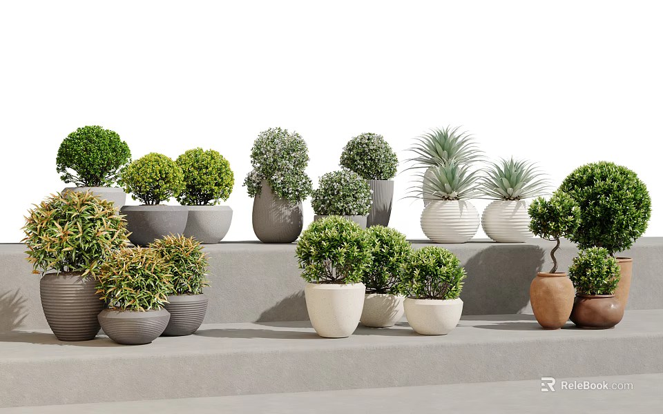Various Bonsai Potted Plants In Ceramic And Concrete Planters Arranged On Steps For Home Decor 3d model 