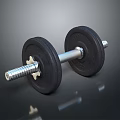 Essential Sports Equipment Dumbbell with Weight Plates and Metal Bar for Fitness Training