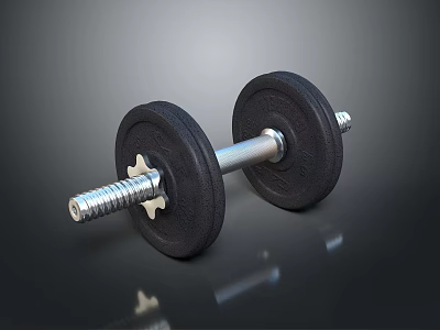 Essential Sports Equipment Dumbbell with Weight Plates and Metal Bar for Fitness Training 3d model