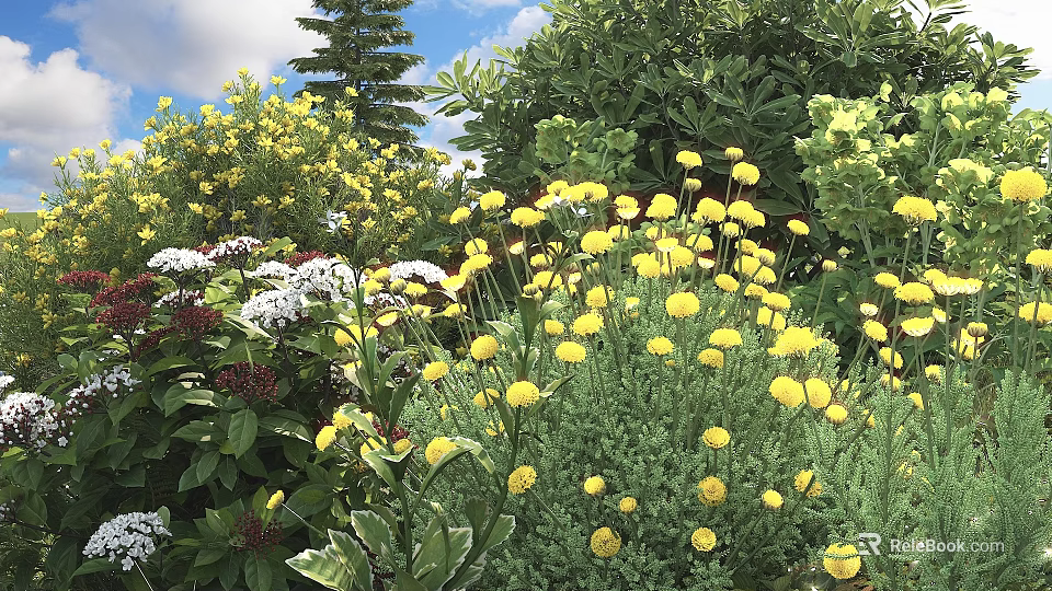 Vibrant Yellow Flowers White Blooms And Lush Green Plants In Outdoor Garden 3d model 