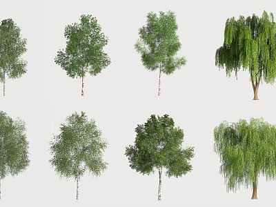 Various Arbor Trees With Different Leaf Shapes For Garden Landscape Design 3d model
