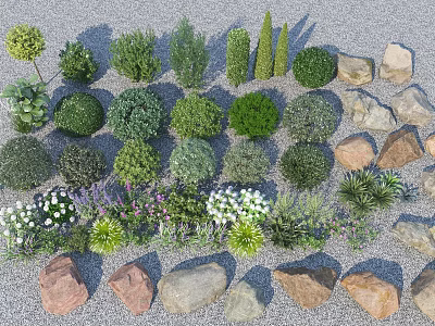 Stone and Wood Decorative Elements with Various Plants and Natural Textures 3d model