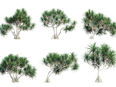Diverse Arbor Trees Displaying Lush Green Foliage And Unique Trunk Features 3d model
