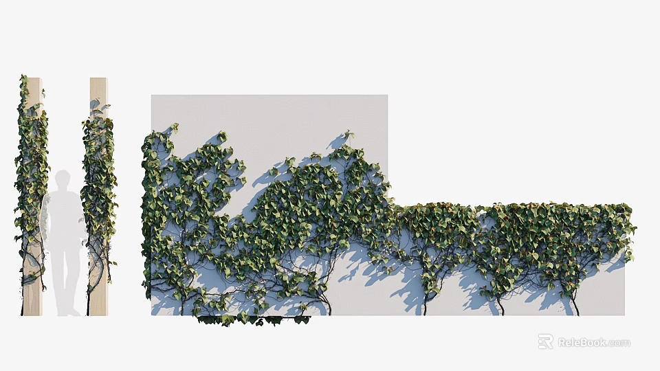 Lush Green Climbing Vines Covering Wall with Dense Leaves for Natural Decoration 3d model 