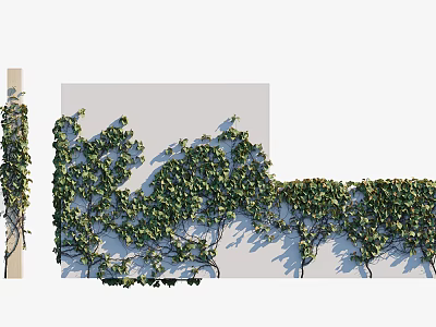 Lush Green Climbing Vines Covering Wall with Dense Leaves for Natural Decoration 3d model