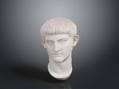 Medical Device Human Head Anatomical Model For Clinical Training And Education 3d model