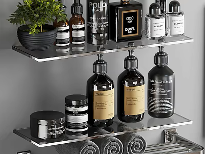 Bathroom Accessories On Stainless Steel Shelves With Lotion Bottles Jars Rolled Towels And Potted Plant 3d model