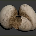 Egg Cartoon Egg with Egg Shell Chick Quail Egg Duck Egg Goose Egg 3d model