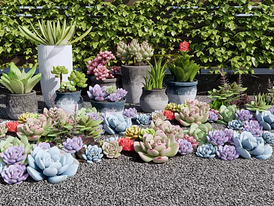 Colorful Succulent Plants in Various Pots with Green Ivy Background 3d model