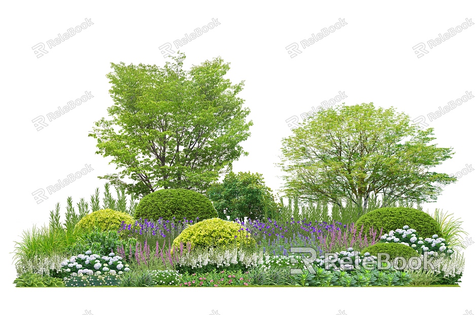 Landscape Plant Combination Flower Border Plant Group Community Plants Flowers and Plants model