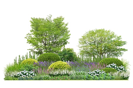 Landscape Plant Combination Flower Border Plant Group Community Plants Flowers and Plants 3d model