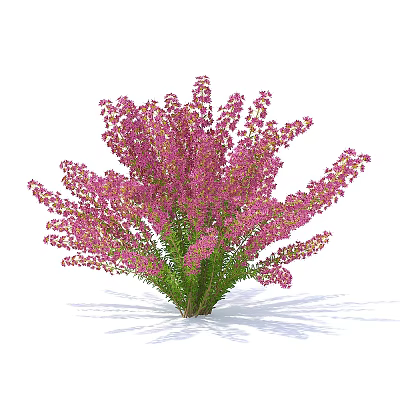 Modern flowers and green plants 3d model