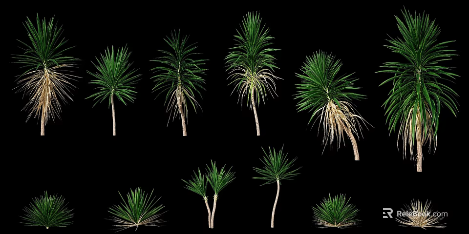 Green Plants In Various Forms With Different Heights And Green Leaves On Black Background 3d model 