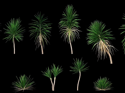 Green Plants In Various Forms With Different Heights And Green Leaves On Black Background 3d model