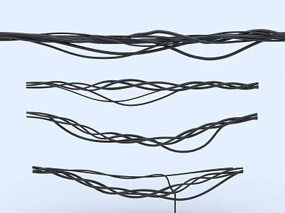 Black Braided Cords With Various Weaving Patterns For Practical Household Supplies 3d model