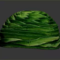 Fresh Green Spiral Vegetable Roll With Tightly Wrapped Leaves