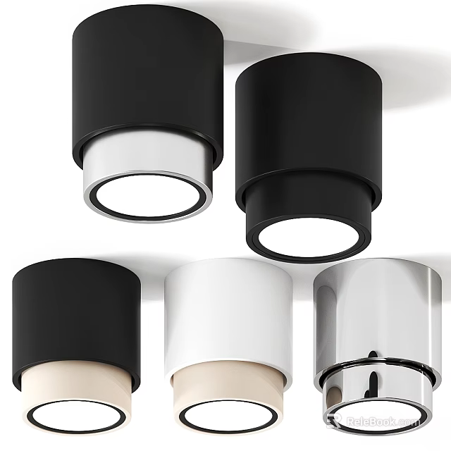 Modern Minimalist Ceiling Lights in Black White Silver Sleek Contemporary Design 3d model 