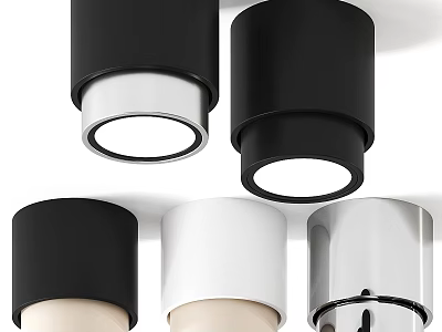Modern Minimalist Ceiling Lights in Black White Silver Sleek Contemporary Design 3d model