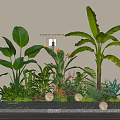 Indoor Plant Arrangement With Large Green Leaves Various Tropical Plants And White Decorative Balls