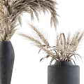 Natural Dried Plant Decorative Arrangement with Pampas Grass and Wheat in Gray Vases