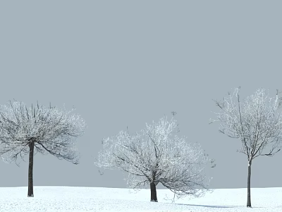 Snow Covered Trees Standing On Snowy Ground Under Gray Sky 3d model
