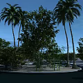 Park Landscape with Tall Palm Trees Various Green Trees Circular Area and Clear Blue Sky