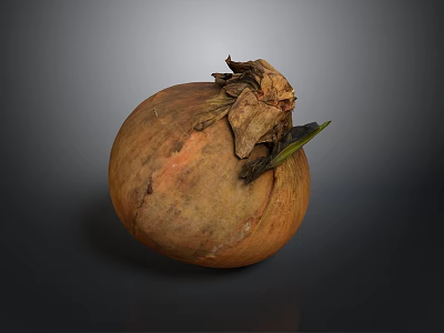Fresh Brown Onion With Green Leaf And Textured Surface On Dark Background 3d model