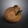 Fresh Brown Onion With Green Leaf And Textured Surface On Dark Background