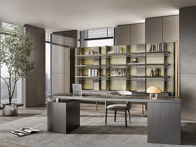 Modern Home Office Interior Featuring Desk Bookshelf Chair Lamp And Potted Plant 3d model