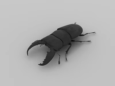 Black Stag Beetle with Large Mandibles as 3D Model Isolated on Gray Background 3d model