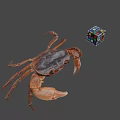 Whole Fresh Seafood Crab With Colorful Rubik's Cube On Gray Surface