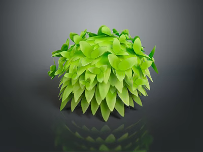 Decorative Green Plant with Lush Layered Leaves in Spherical Shape and Shiny Foliage 3d model