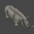 Highly Detailed 3D Rhinoceros Model With Realistic Texture And Gray Background