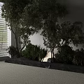 Outdoor Landscape Plant Combination With Various Trees Shrubs And Natural Greenery Arrangement