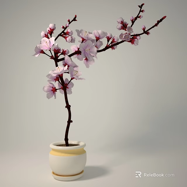 Bonsai Potted Plant With Pink Flowers Slender Branches White And Yellow Pot On Gray Background 3d model 
