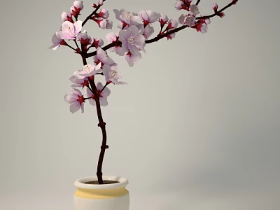 Bonsai Potted Plant With Pink Flowers Slender Branches White And Yellow Pot On Gray Background 3d model