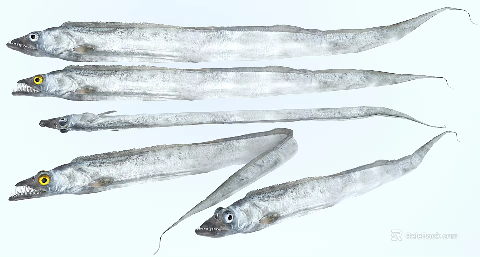 Several Long Slender Silver Colored Aquatic Animals With Fresh Sleek Body Shape 3d model 