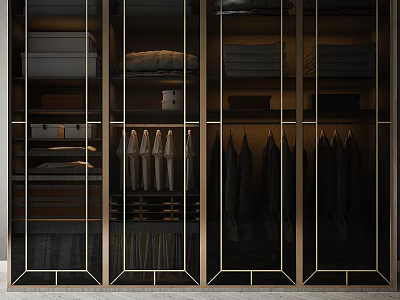 Modern Wardrobe Interior Design With Glass Doors Metal Frame Hanging Clothes And Storage Shelves 3d model