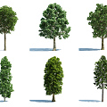 The Modern Tree 3d model