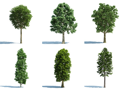 The Modern Tree 3d model