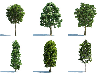 The Modern Tree 3d model