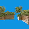 Potted Plants In Wooden Planters With Lush Green Foliage And Natural Design