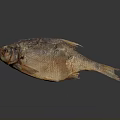 Whole Dried Fish With Golden Brown Skin And Crispy Texture As Traditional Cooking Ingredient