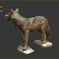 Standing Wolf Sculpture With Open Mouth Brown Purple Spots On White Bases